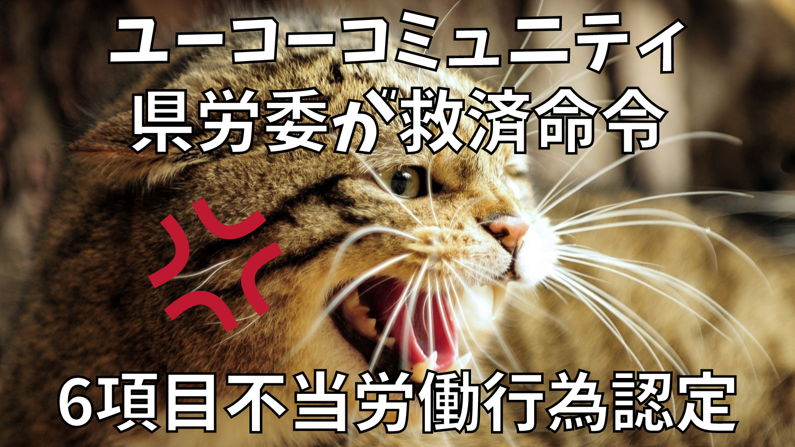 ユーコミュニティー 県労働委員会が救済命令 ６項目を不当労働行為と認定